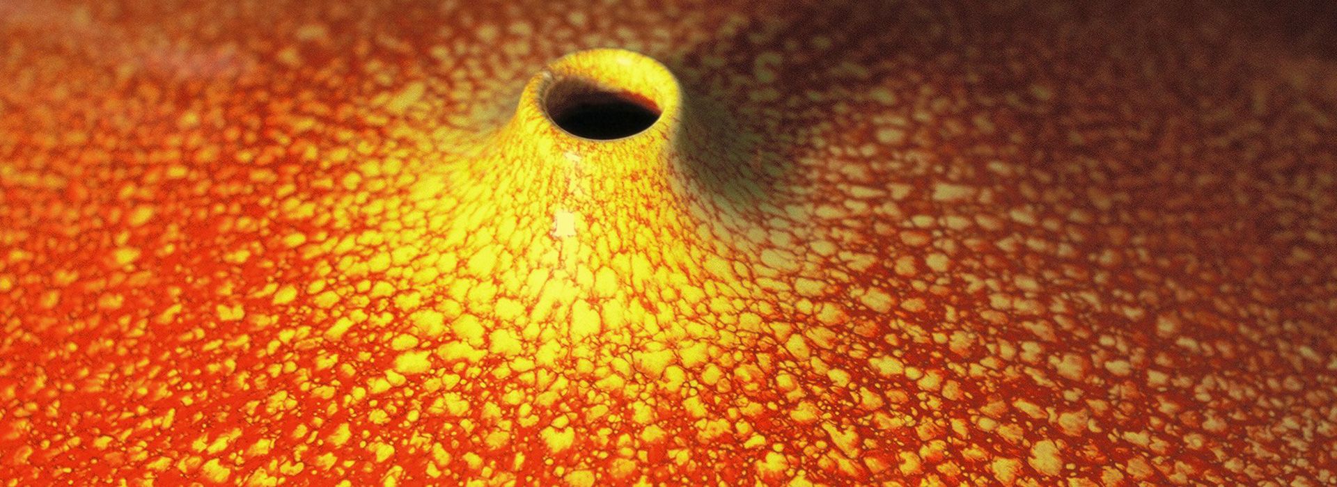 Large Orb Detail - Sunglaze